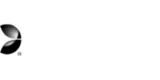 Evolution Gaming Provider